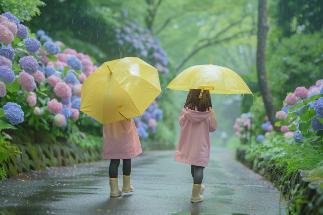 紫陽花が咲く道をレインコートを着て、傘をさして歩く子供の写真