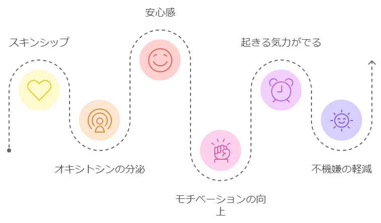 朝起きるときのスキンシップが与える影響の図